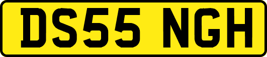 DS55NGH