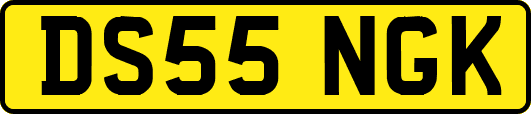 DS55NGK