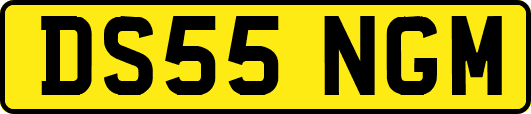 DS55NGM