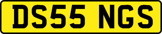 DS55NGS