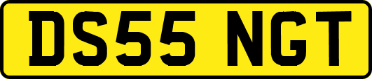 DS55NGT