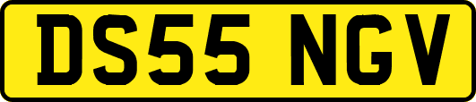 DS55NGV