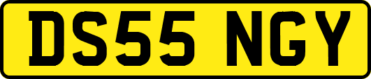 DS55NGY