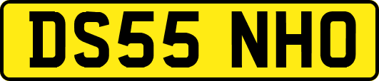 DS55NHO