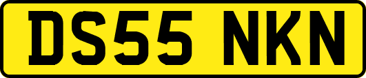 DS55NKN