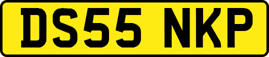 DS55NKP