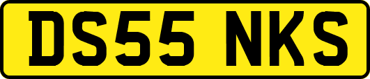 DS55NKS
