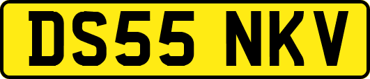 DS55NKV
