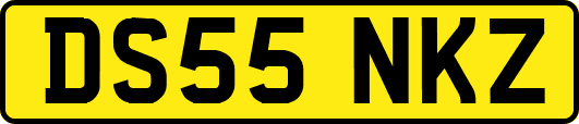 DS55NKZ