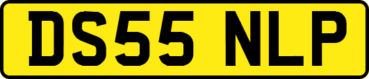 DS55NLP
