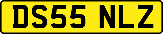 DS55NLZ
