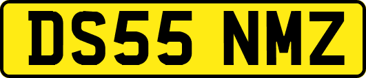 DS55NMZ