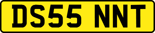 DS55NNT