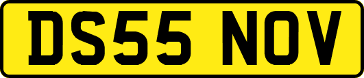DS55NOV