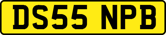 DS55NPB