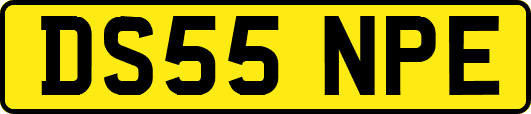 DS55NPE
