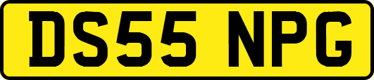 DS55NPG