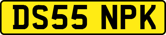 DS55NPK