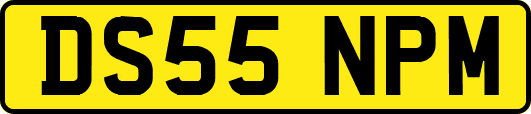 DS55NPM