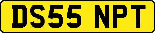 DS55NPT