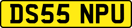 DS55NPU