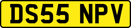 DS55NPV