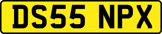 DS55NPX