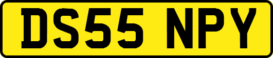 DS55NPY