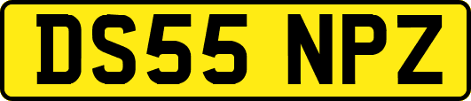 DS55NPZ