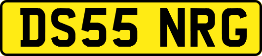 DS55NRG