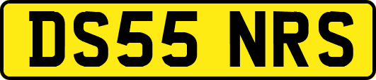 DS55NRS