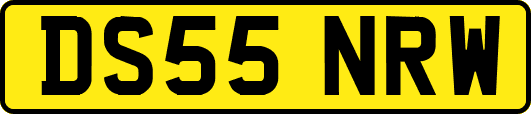 DS55NRW