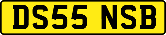 DS55NSB