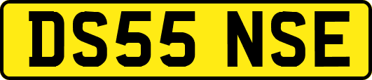 DS55NSE