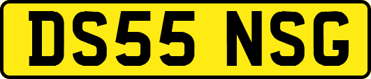 DS55NSG