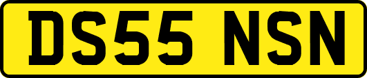 DS55NSN