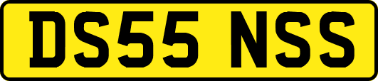 DS55NSS