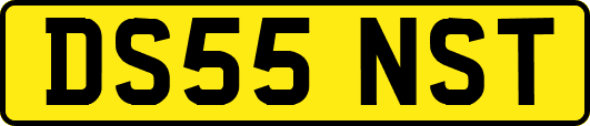 DS55NST