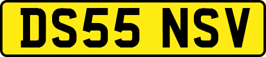 DS55NSV