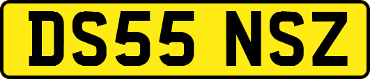 DS55NSZ