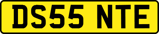 DS55NTE
