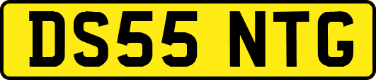 DS55NTG