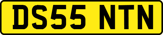 DS55NTN
