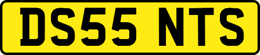 DS55NTS