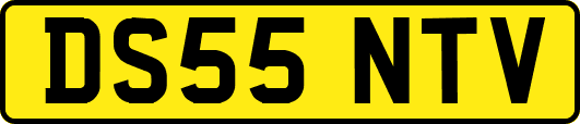 DS55NTV