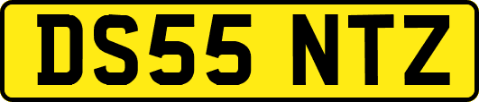 DS55NTZ