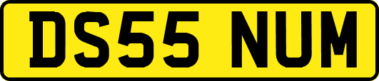 DS55NUM