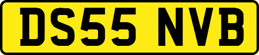 DS55NVB