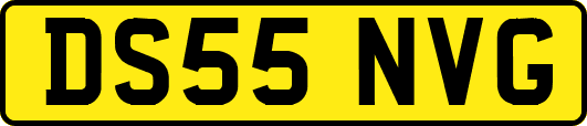 DS55NVG
