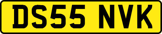 DS55NVK